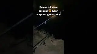 Бешеный клев карпа! Устроил дискотеку! Такой вот он активатор клева! #карп #рыбалка #карпфишинг