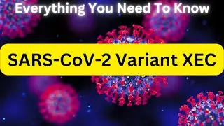 Understanding The New COVID Variant XEC | SARS-CoV-2 Variant XEC | COVID XEC Variant 2024