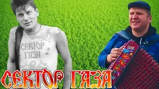 КАК ИГРАТЬ НА ГАРМОНИ ОЙ, ТЫ ТРАВУШКА ЗЕЛЕНАЯ! РАЗБОР СЕКТОР ГАЗА НА ГАРМОШКЕ! УРОК 5!