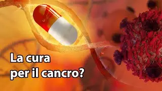 Non cureremo mai 