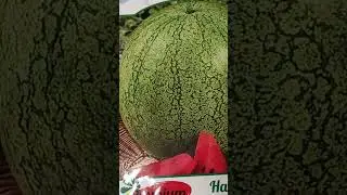 Уже пора!!!