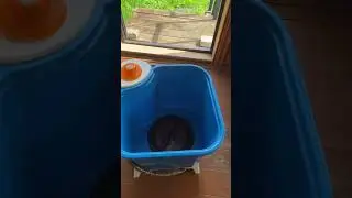 Стиральная машина Фея СССР