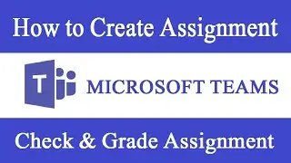 How to Create Assignment in Microsoft Teams / How to Create Quiz in Microsoft Teams - Info Hub