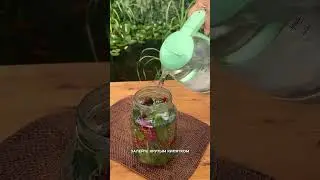 ❤️СМОРОДИНА ВМЕСТО КОНСЕРВАНТА❤️