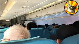 LANDING IN CEBU - PHILIPPINE AIRLINES (PAL EXPRESS) - RP-C8395 - AUG 2024