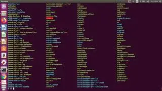Linux Shell Scripting | Unit 4 | Case Statement | Part 2 of 2