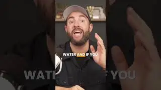 POOL Water GREEN Even After Shocking? ❎ | Swim University