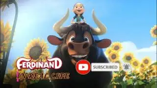 (FERDINAND 🐂 ) all character