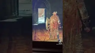bruh some guy copy right strike my free tiktok re-upload of elden ring