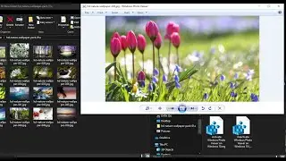 How to Enable Windows Photo Viewer in Windows 10 and Make It the Default Image Viewer