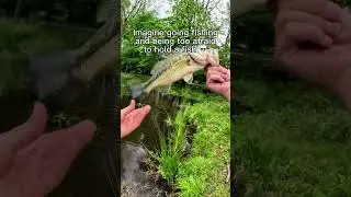 Couldn’t be me 🤷‍♂️ #fishing #shorts