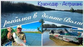 Рыбалка в Астрахани на раскатах на жереха, судака, сома.  Сентябрь 2023 года