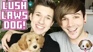 MATT GETS NICK A PUPPY!!!