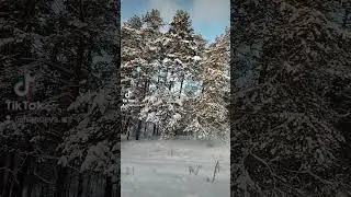 Там, где поёт душа,там, где легко дышать...