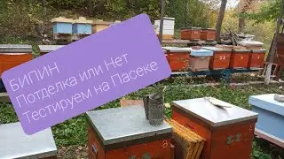 БИПИН Потделка или Нет. Проверяем на Пасеке.Контрольная Обработка.