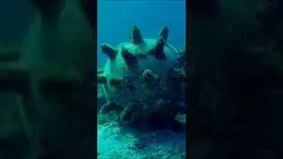 В Балтийском море остаются десятки тысяч мин