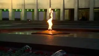 Ветеранам Великой Победы - Стародубцев Игорь