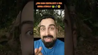 ¿UNA RANA QUE ES LA BOMBA? 🐸💣☣️