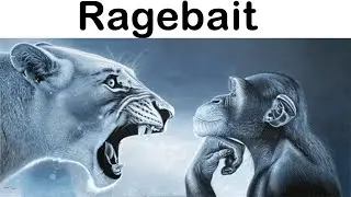 The Best & Worst Rage Bait