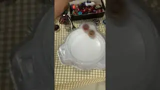 Real life counter break