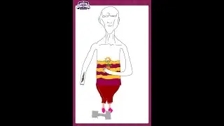Учимся рисовать (мб нет хз)| Гартик