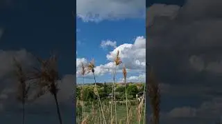 11 мая 2024 г.