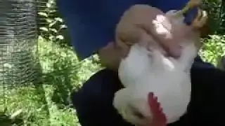 Прикол. Как он это делает?
