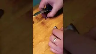 как почистить корюшку, лёгкий способ. готовим вкусно за 20 минут