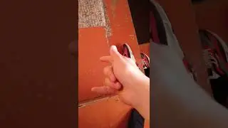 #мемы