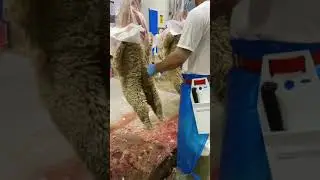 16 September 2020 - Australia Meat processing