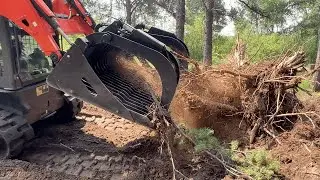 Stump Removal At Our Remote Campsite