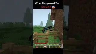What Happened To Steve?😱