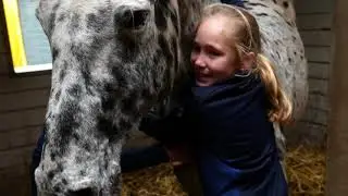 Zo'n zin in de zomer - Ponykamp Klein Oever