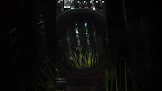 Access Denied - Escape From Tarkov 