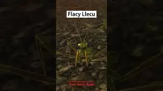 one hit one kill - clip fallout new vegas indonesia #shorts #falloutindonesia