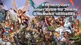 Кто получает опыт души на Земле помимо человека