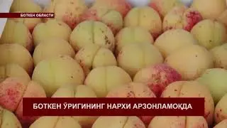 КАБАРЛАР 22-00  19-06-2018