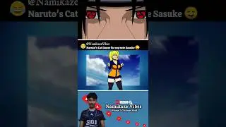 Cat Dance 😂 