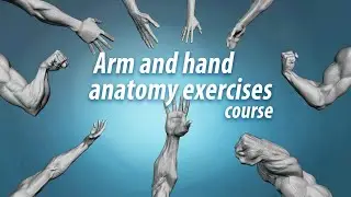 Arm and hand anatomy exercises course promo