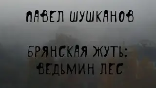 😱 Брянская жуть: ведьмин лес, чертов мост, следы копыт | П. Шушканов, 
