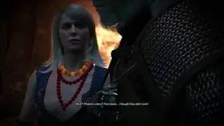 test geforce gtx 960 gaming 4 GB GDDR5 full settings on the Witcher