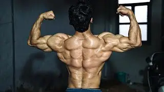 No Arms involvement During Back Workout