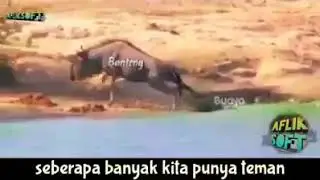 Film porno