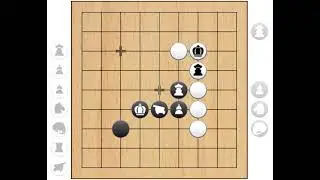 Chess Go