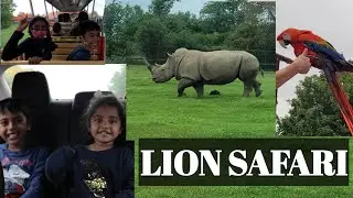 Lion safari Canada #canada #summervibes #summer #summertip