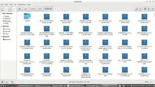 How to Fix 'could not get lock /var/lib/dpkg/lock'