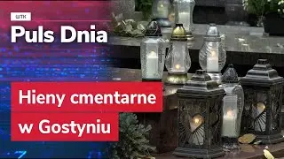 Hieny cmentarne w Gostyniu