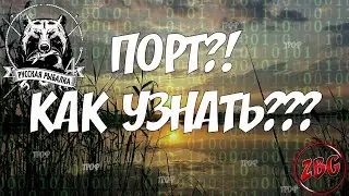 ПОРТ - КАК БЫСТРО УЗНАТЬ ГАЙД - РУССКАЯ РЫБАЛКА 4 🐟