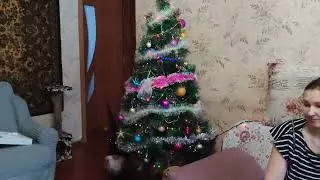 30 декабря 2023 г.