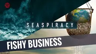 Seaspiracy Kritik Review: Netflix vs. Käpt'n Iglo I Sandra Rieß' STREAMINGPERLE